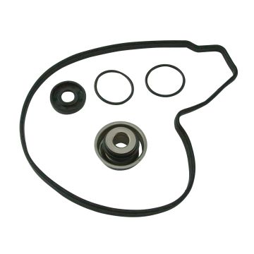 Goodbest New Top End Rebuild Head Gasket & O-Ring Kit - Foto 3